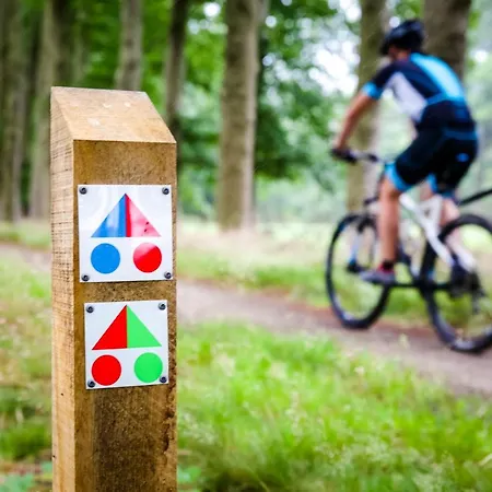 Villa Luxe Vakantievilla 6-8 Personen - Prive Tuin - Achterhoek