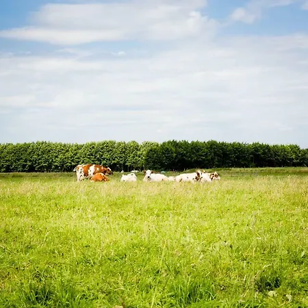 Luxe Vakantievilla 6-8 Personen - Prive Tuin - Achterhoek וילה *