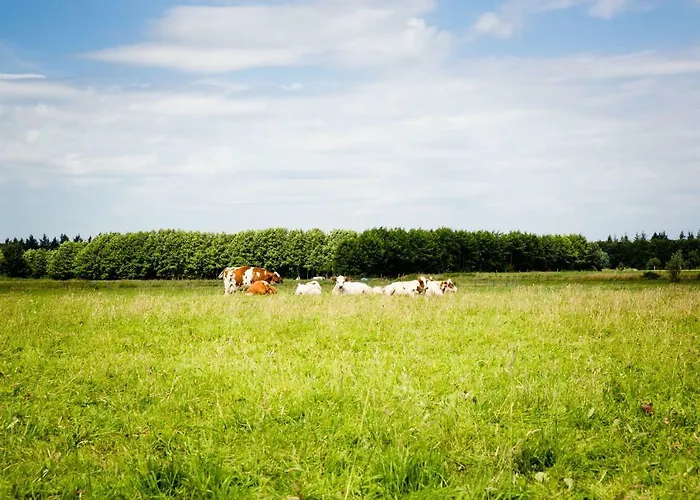 Luxe Vakantievilla 6-8 Personen - Prive Tuin - Achterhoek Villa *